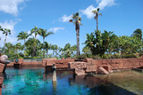 Backyard of Atlantis resort