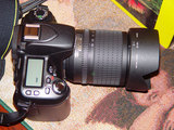 Nikon D80