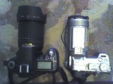 Nikon D80 and Sony DSC-F707