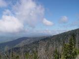 Somewhere on Newfound Gap Road