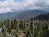 View from Clingmans Dome