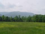 Cades Cove