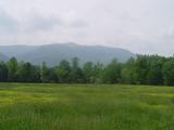 Cades Cove