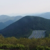 DSC03100
