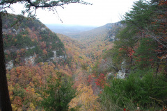 Cloudland Canyon 2012