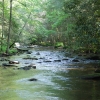 Conasauga River