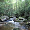 Conasauga River