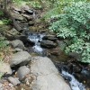 A stream