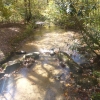 A creek